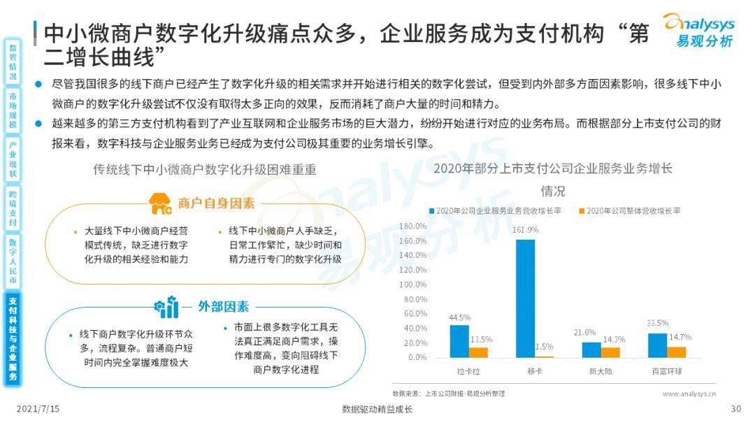 蓝海新洞察，聚焦国内市场下的赢利机遇解析