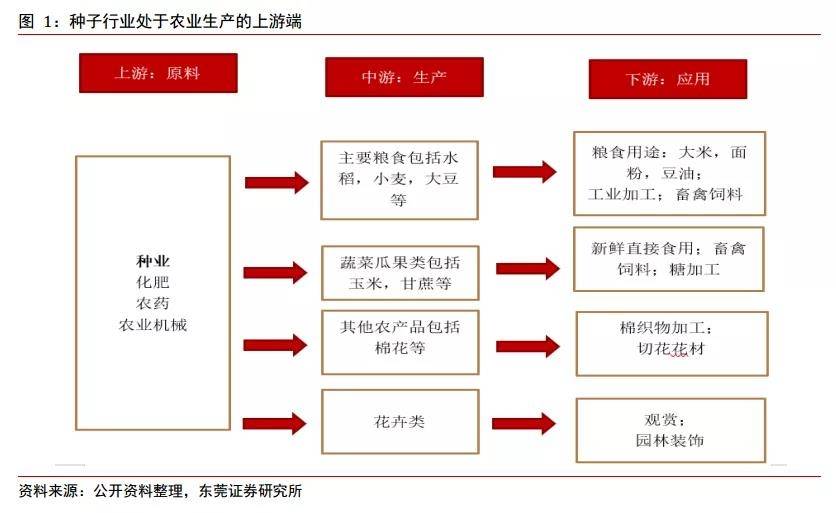 探讨胚子行业发展趋势，最赚钱的胚子业务模式展望与畅想