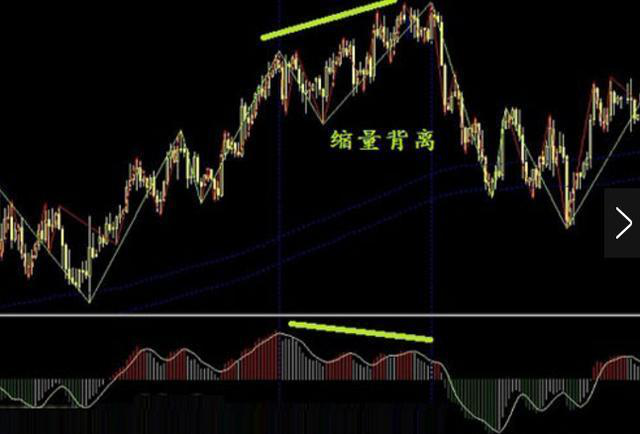 探索自由赚钱的职业领域——灵活就业与个人发展之双赢之道