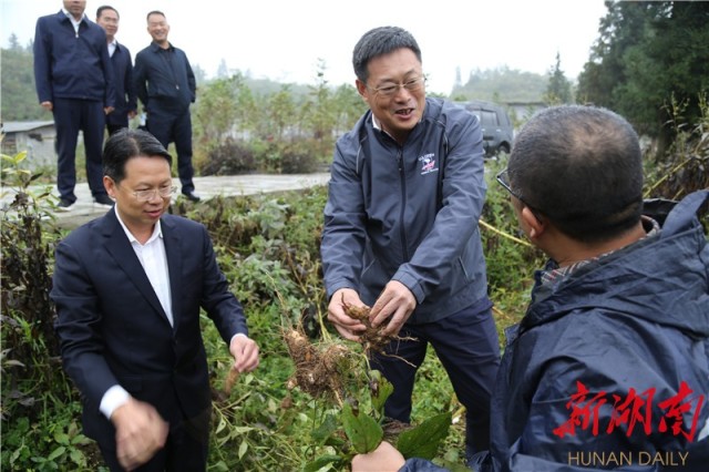 龙山产业新动向，挖掘潜力，探寻赚钱之道