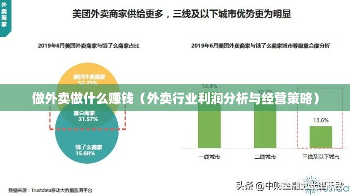 做什么类型的外卖赚钱，市场分析、策略选择与运营之道