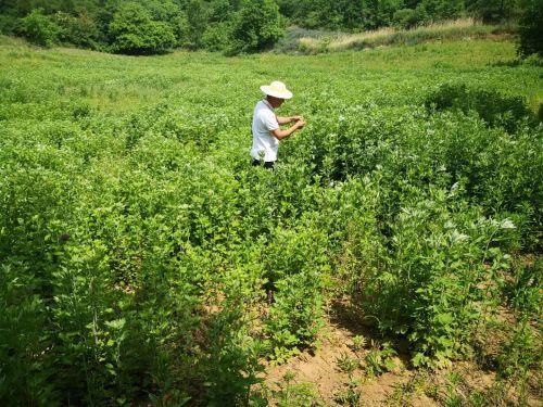 山区里面做什么赚钱最快？