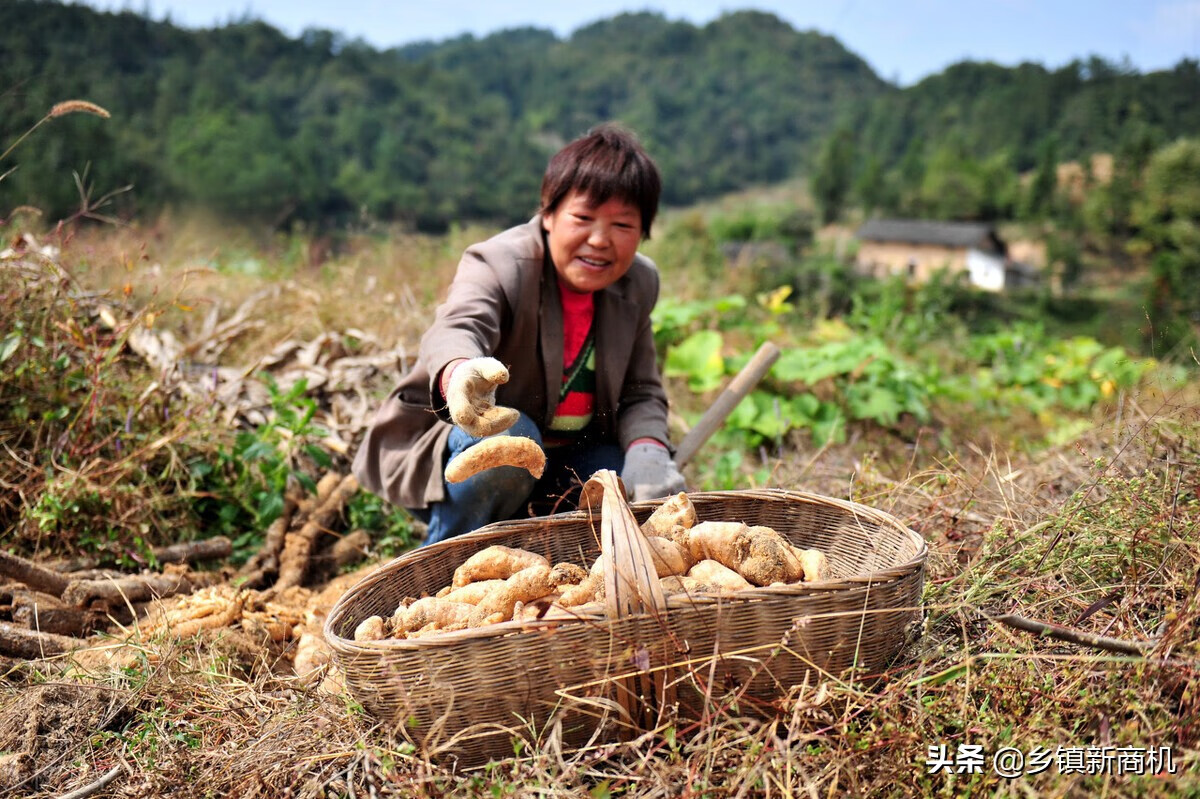 在山做什么生意赚钱