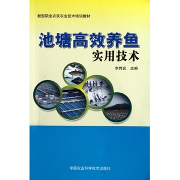 如何高效养鱼赚钱，从入门到精通的全方位指南