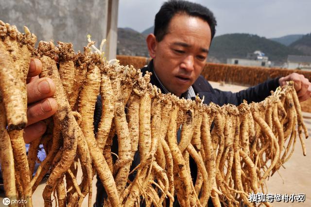 草药做什么生意最赚钱？