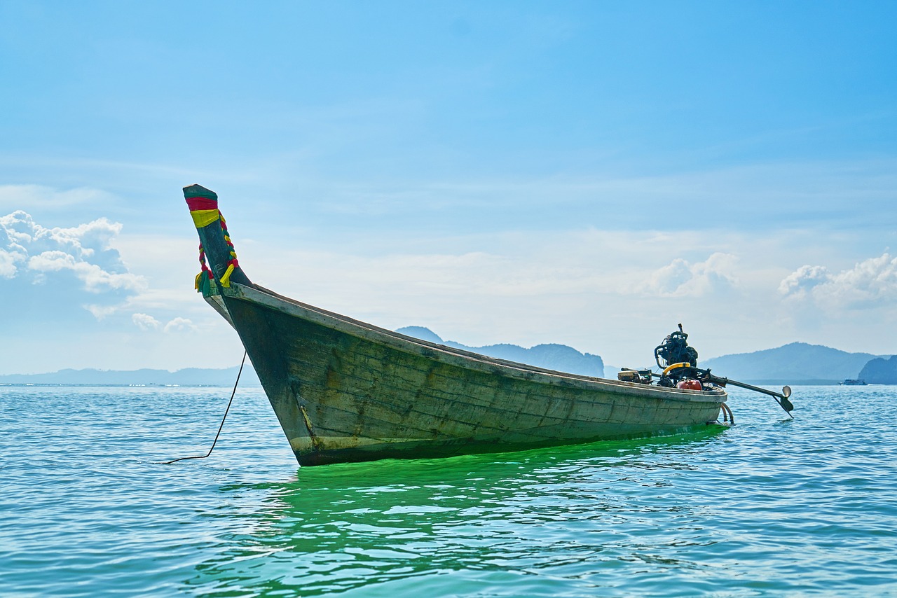 飞鱼项目加盟，探索海洋旅游业的全新商机