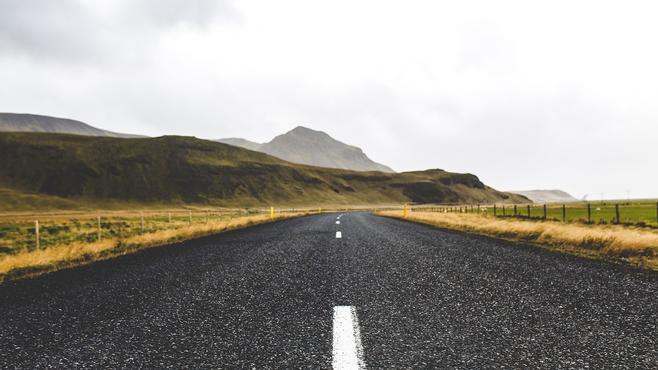 养羊创业的道路有哪些优势