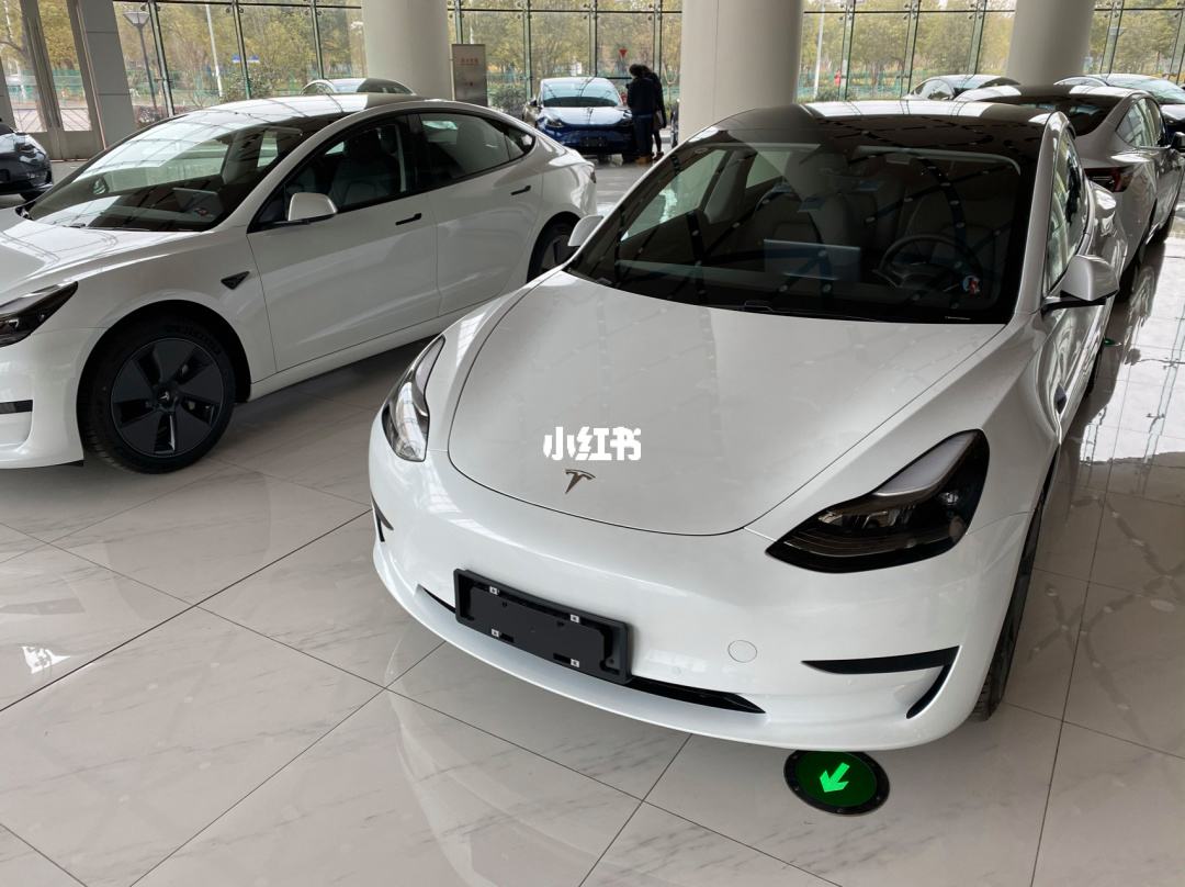 上海model3已经提车 上海model3提车610 周