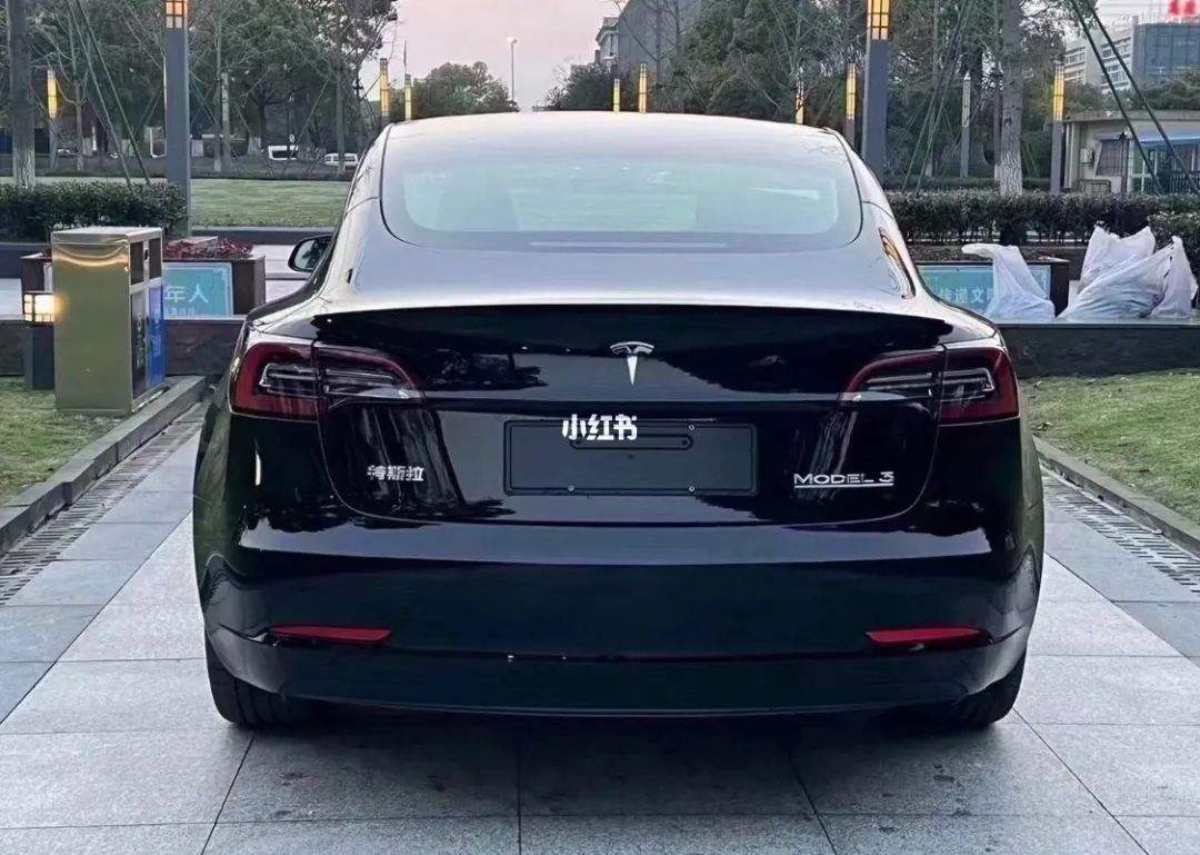 model3自然 model3 舒适性