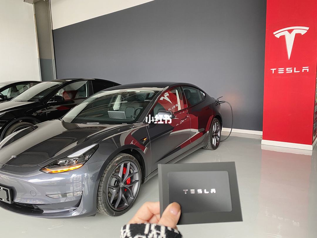 model3中国展 model 3 发布