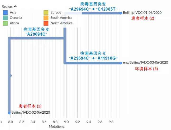 昨天有几个新冠病毒 昨天有几个新冠病毒感染