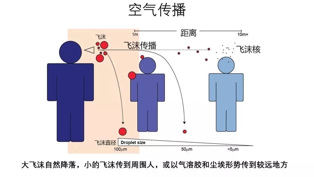 现在新冠病毒的传播 现在新冠病毒的传播速度