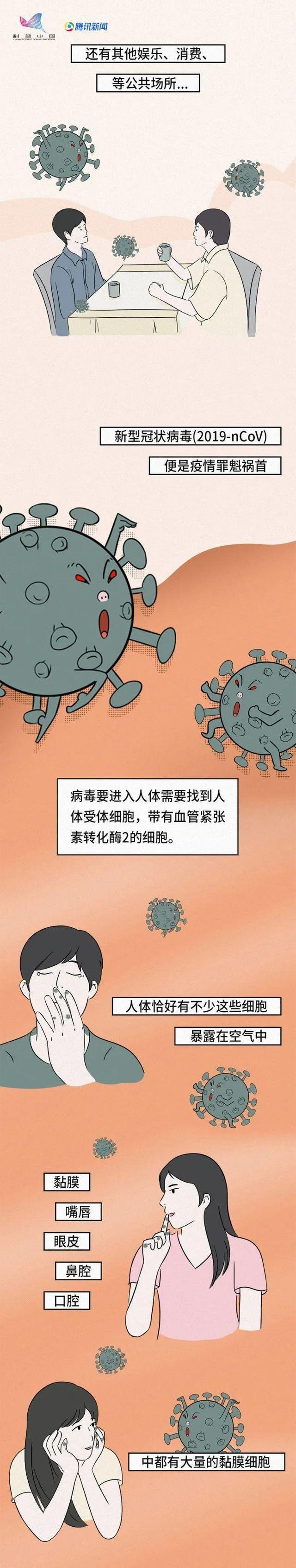 新冠病毒单细胞生物 新冠病毒是什么细胞生物