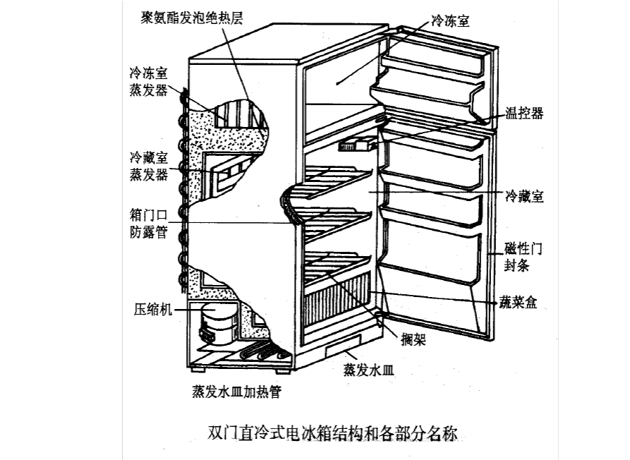 冰箱分类 冰箱分类图片