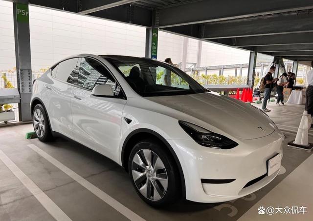 modely离地间隙高度 model3 modely 离地间隙