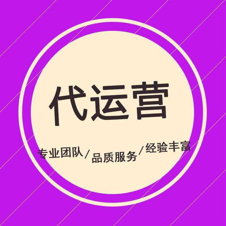 网店运营 网店运营策划书