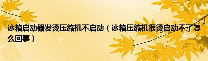 冰箱灯亮压缩机不启动 冰箱指示灯亮,压缩机不工作什么原因