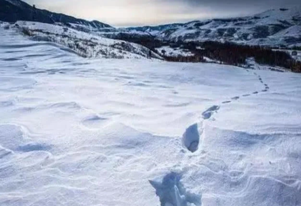 雪怪的未解之谜 雪怪之谜是哪一集