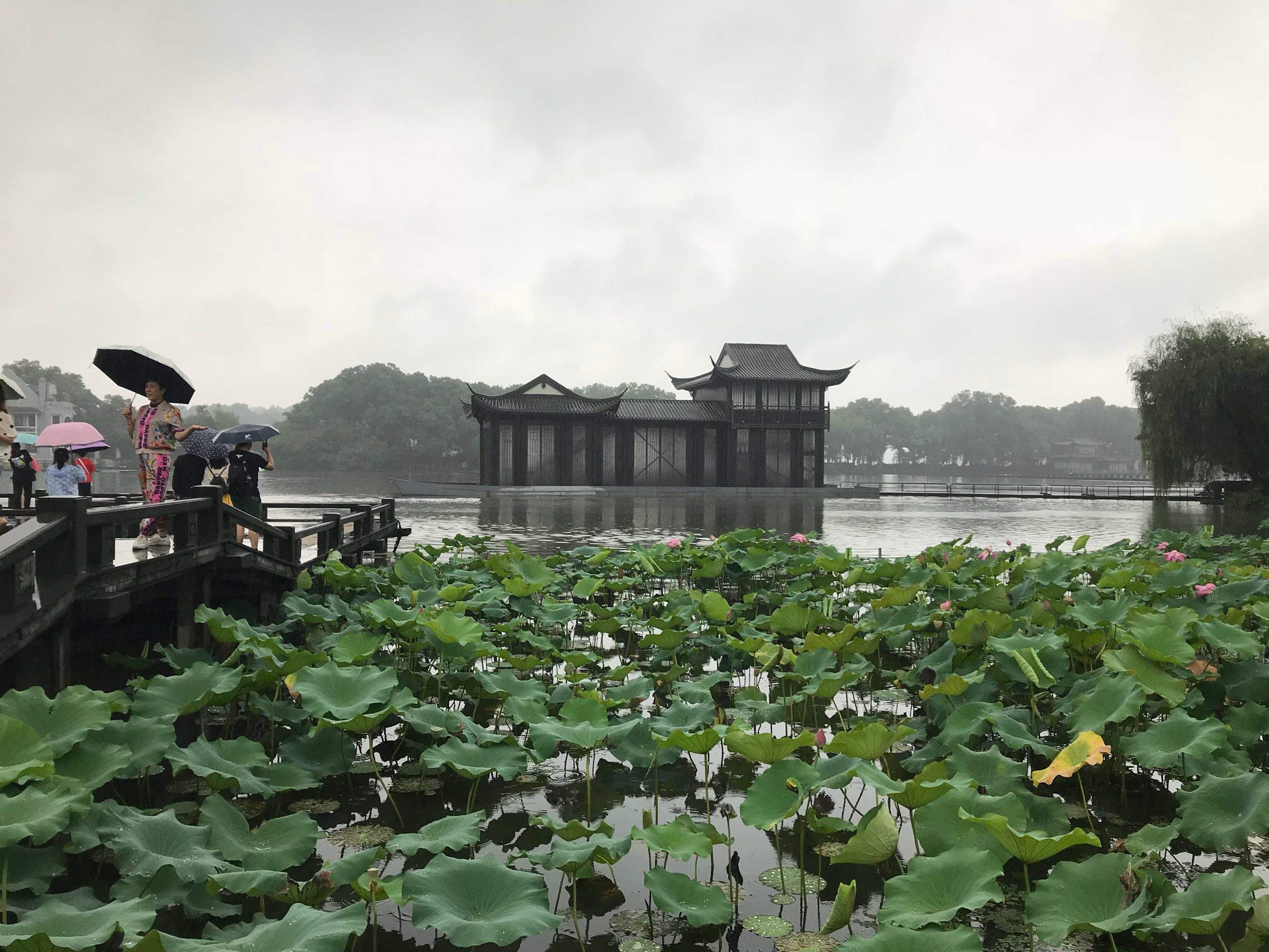 杭州汽车北站到西湖打车多少钱 杭州汽车北站到西湖打车多少钱一张票