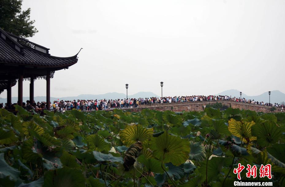 西湖游客量 西湖每年游客量是多少