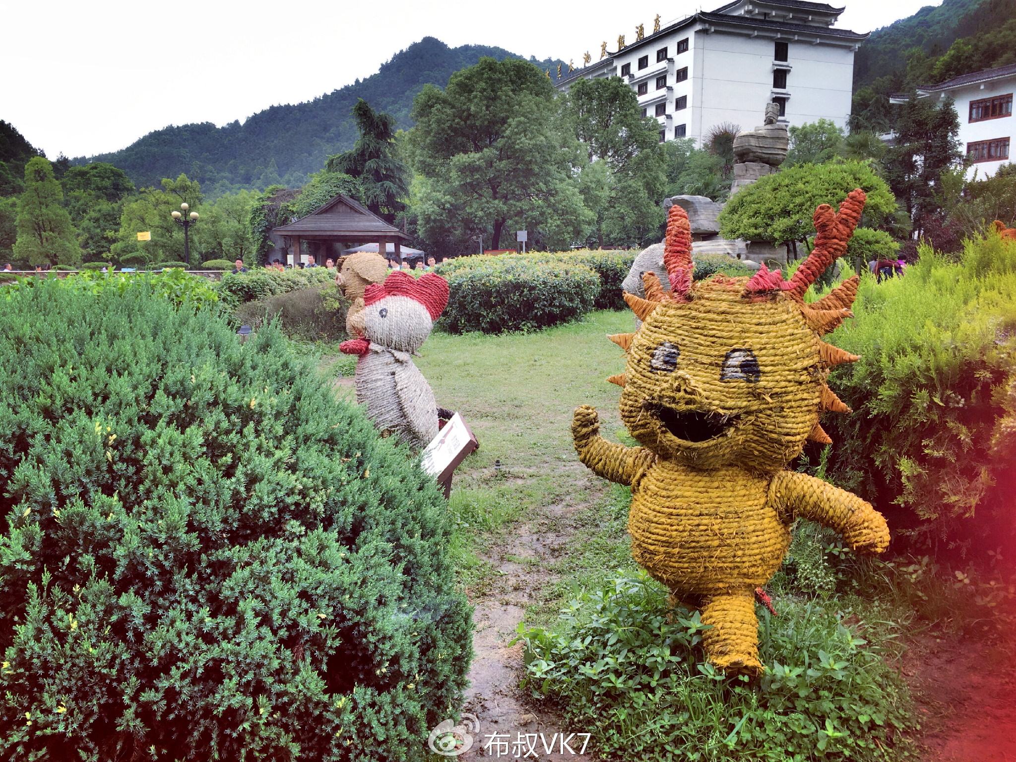 呆若木鸡的生肖 呆若木鸡生肖表是哪个