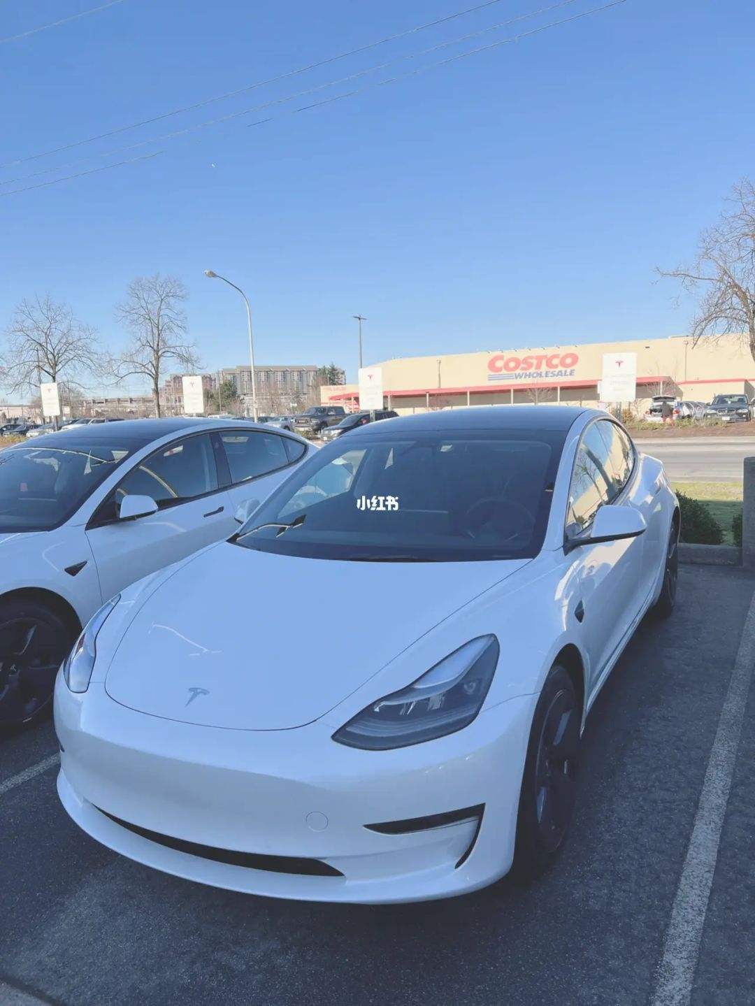 model3国内提车 国产model3订车多久能提车