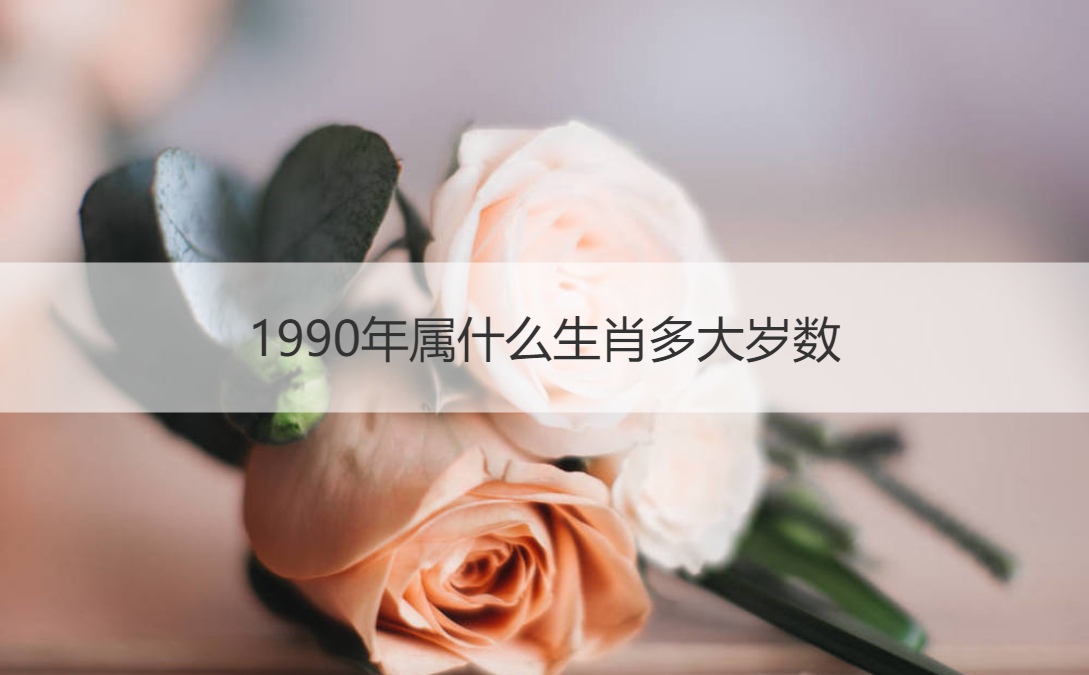 1978年属什么生肖的 1978年属什么生肖的最佳配偶属相