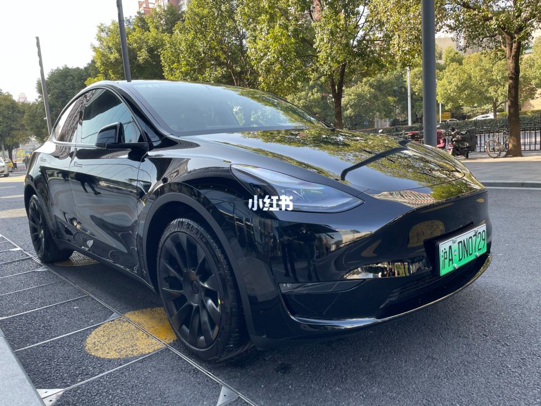 modely户外旅行 model y 旅行车