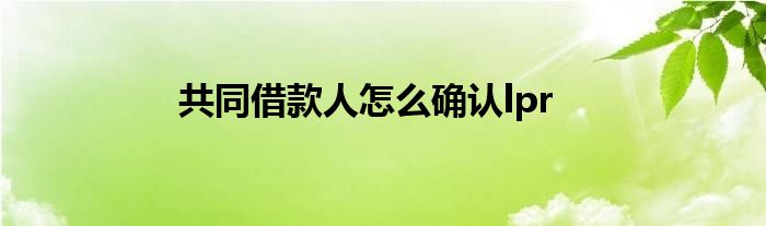 共同借款lpr确认 共同借款人怎么确认lpr转换