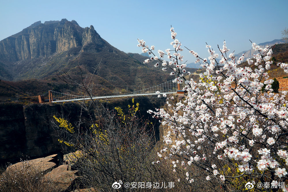 林州旅行社都有哪些 林州神州旅行社价格表