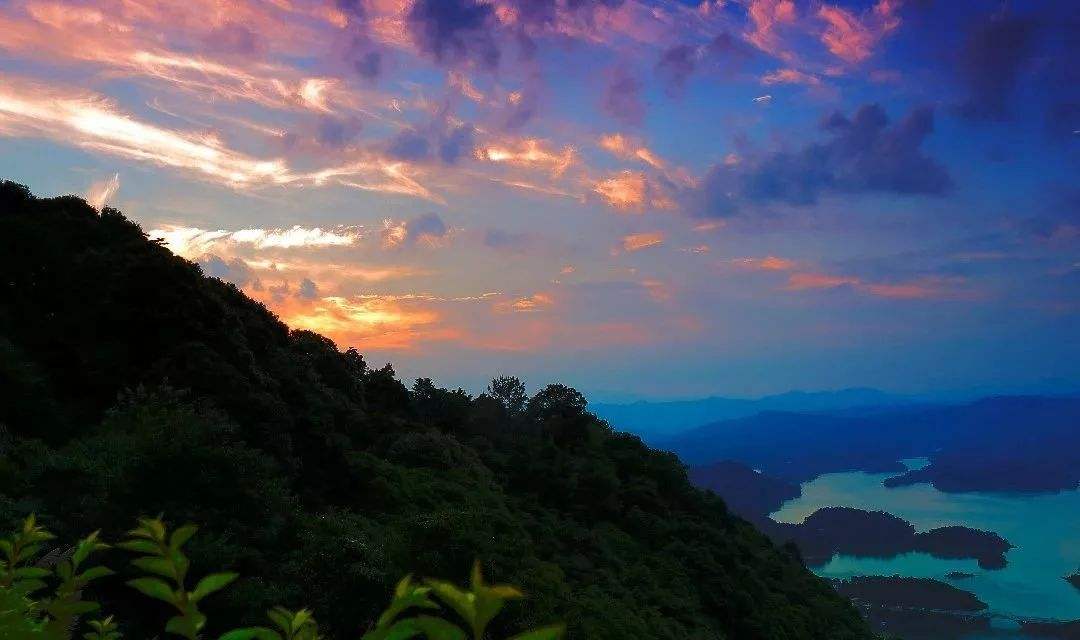 雁南飞旅行社 雁飞旅行社有限公司