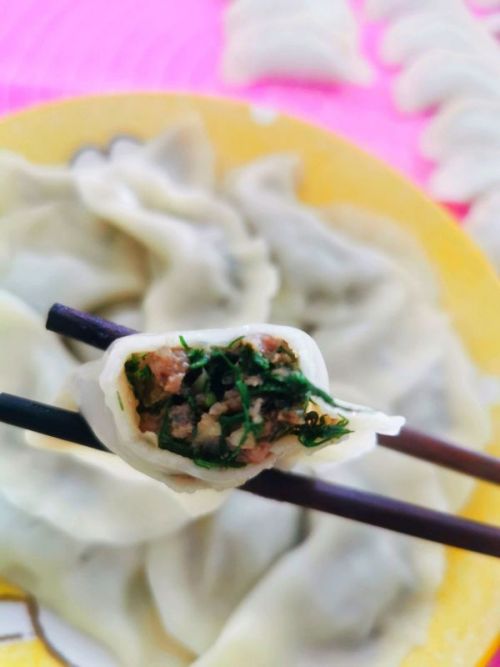 茴香水饺 茴香水饺的做法