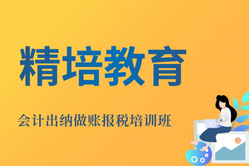 出纳报税还是会计报税 出纳报税还是会计报税好