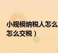 小规模纳税人报税时间 小规模纳税人报税时间季报