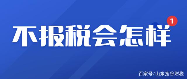 什么叫报税 什么叫报税 通俗易懂