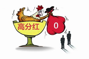 2019年基金分红 202023基金分红