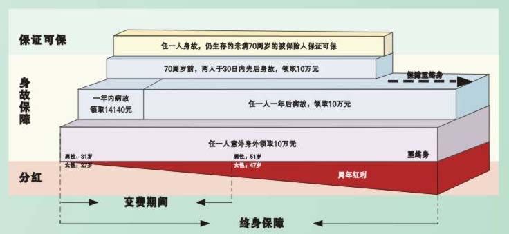 保险分红型是什么意思 保险分红型是什么意思呢