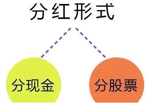 新城控股什么时候分红 新城控股什么时候分红啊