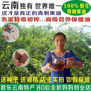 哺乳期可以用青刺果精华素 哺乳期可以用青刺果精华素软膏吗