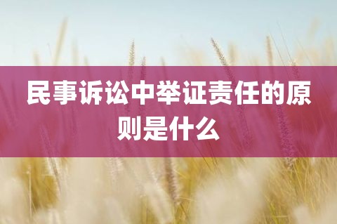 民事责任是什么 民事责任是什么处罚