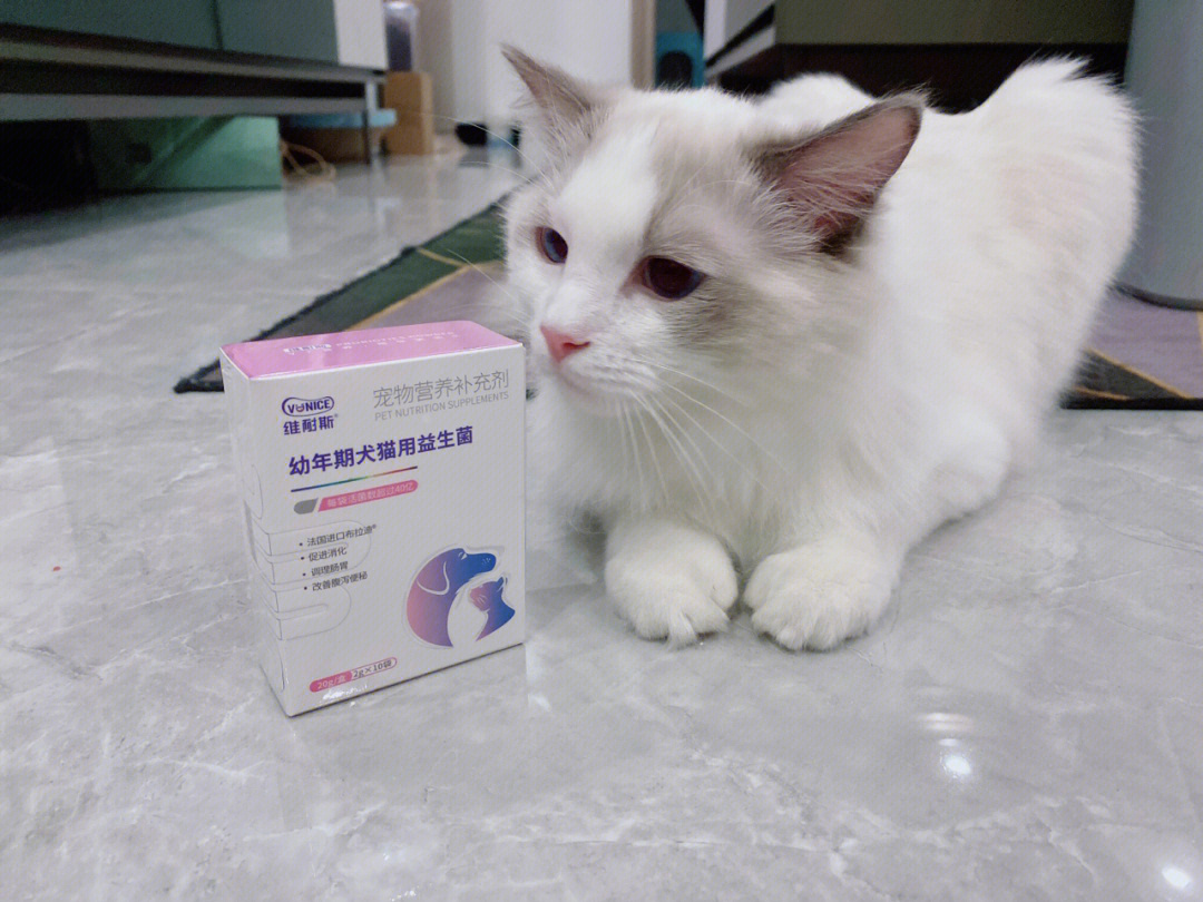 猫咪益生菌多少钱一盒 猫咪益生菌价格多少钱一盒