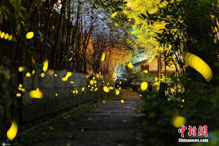 国庆萤火虫去哪买票 地下萤火虫门票多少钱