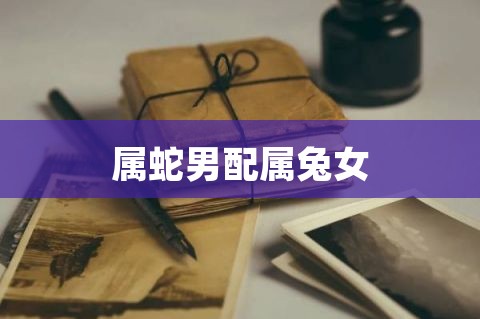 属兔和属蛇相冲吗 属兔的跟属蛇的相冲吗