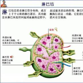 腋下淋巴销售话术 颈部淋巴专业知识及销售话术