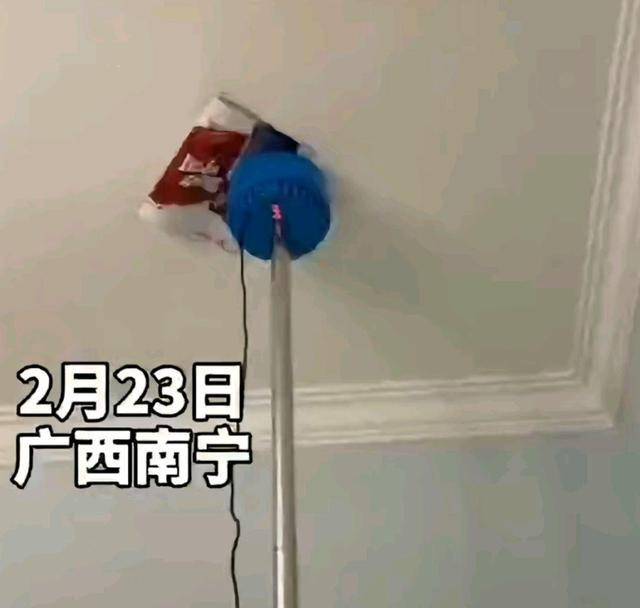 震楼器处罚 震楼器的处罚