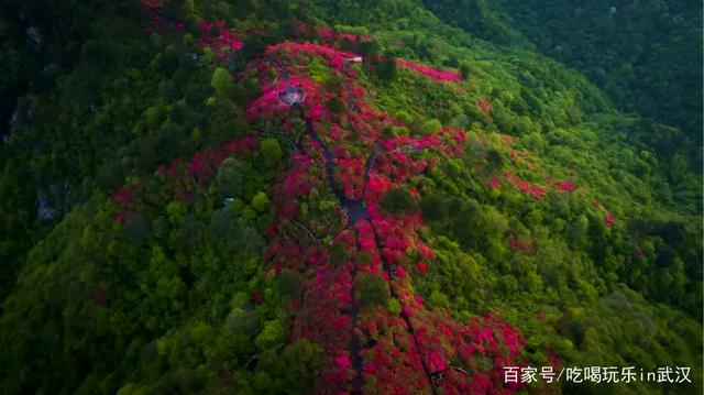 国庆去哪玩黄州周边 国庆节黄石周边旅游去哪