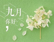 大连九月一号契税政策调整 契税2021年9月1日新政策大连