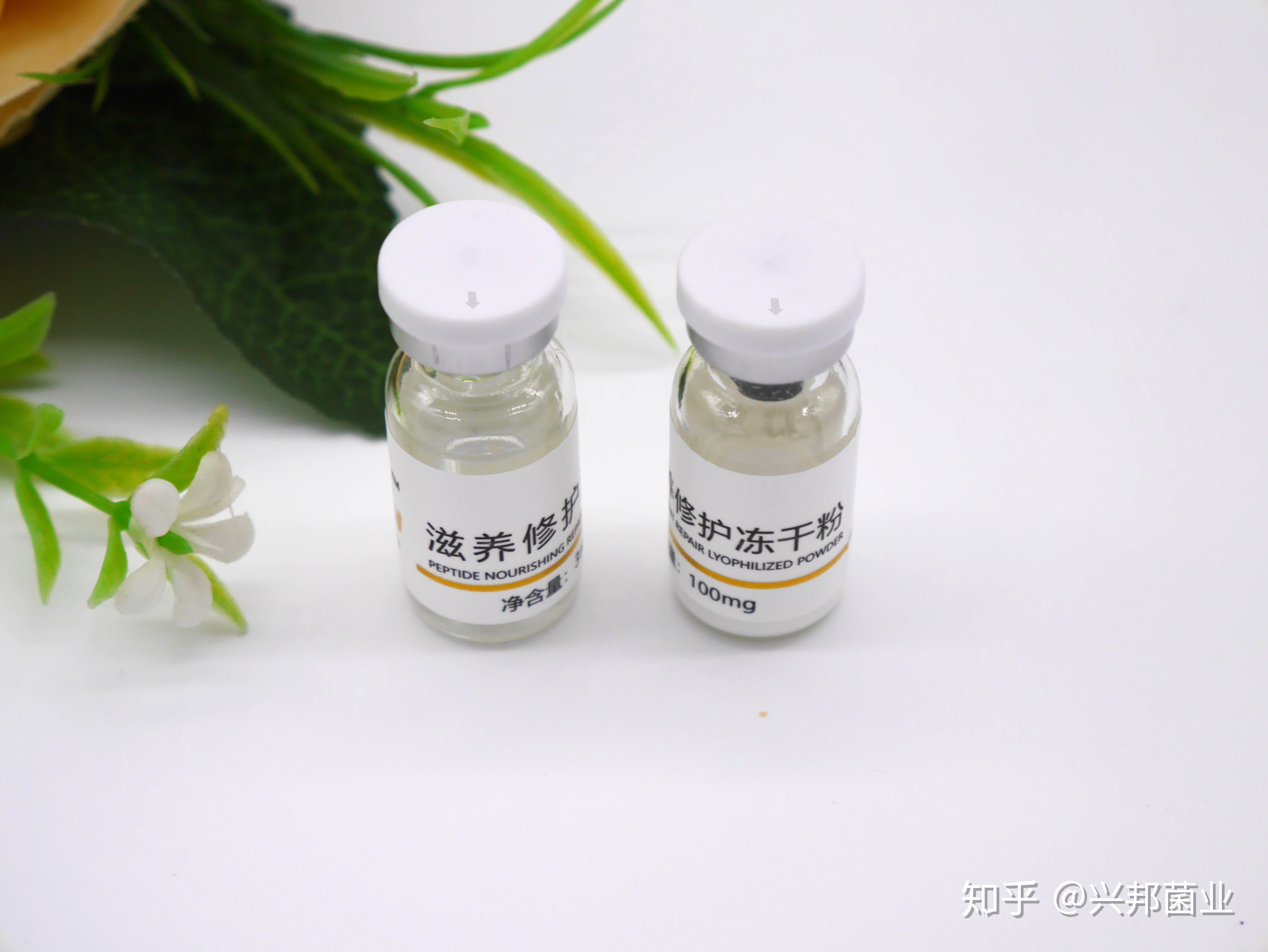 冻干粉只剩粉怎么用 冻干粉用剩下的可以不放冰箱吗