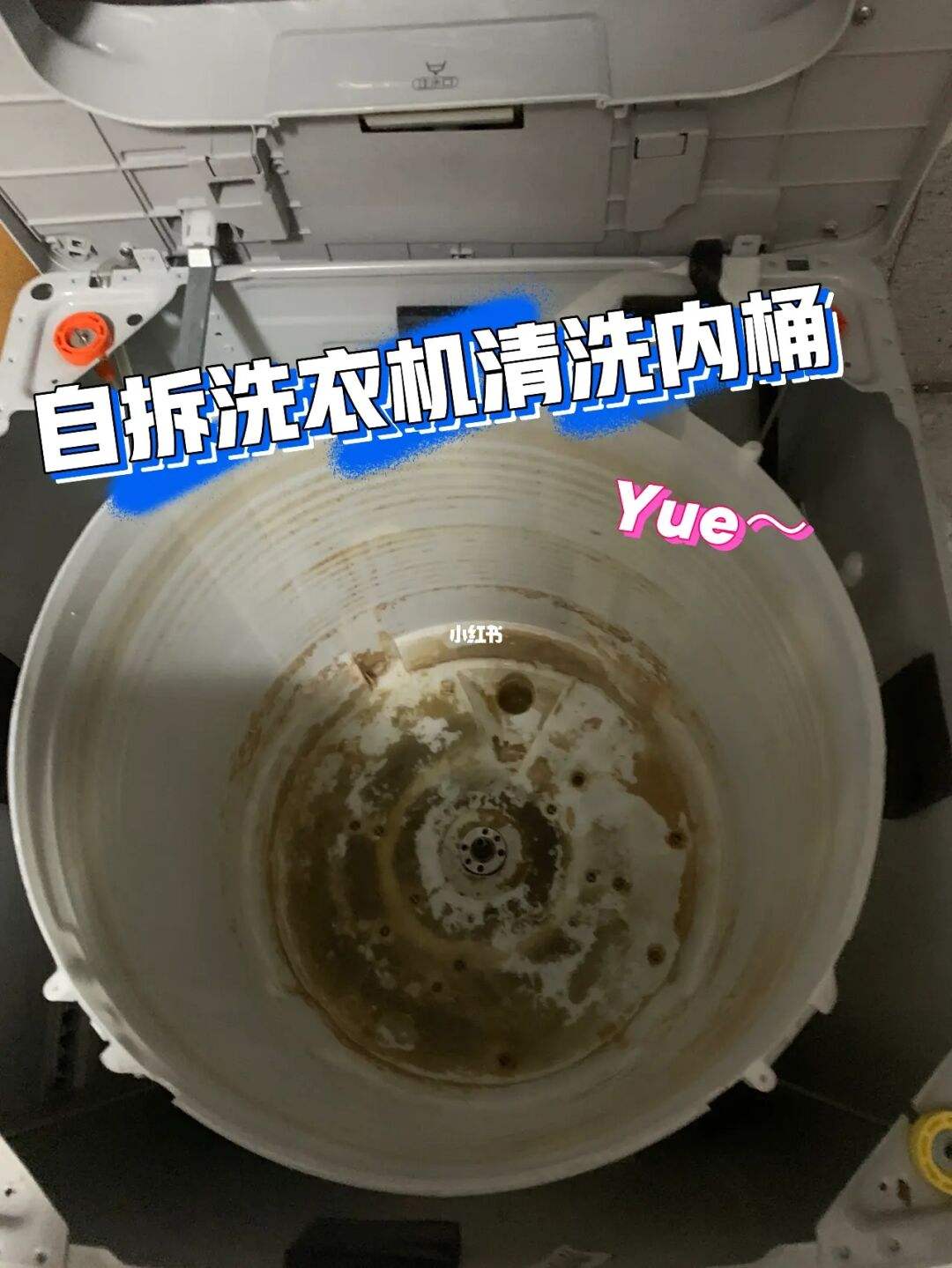 洗衣机怎么清洗桶底部 洗衣桶内底部怎么拆开清洗