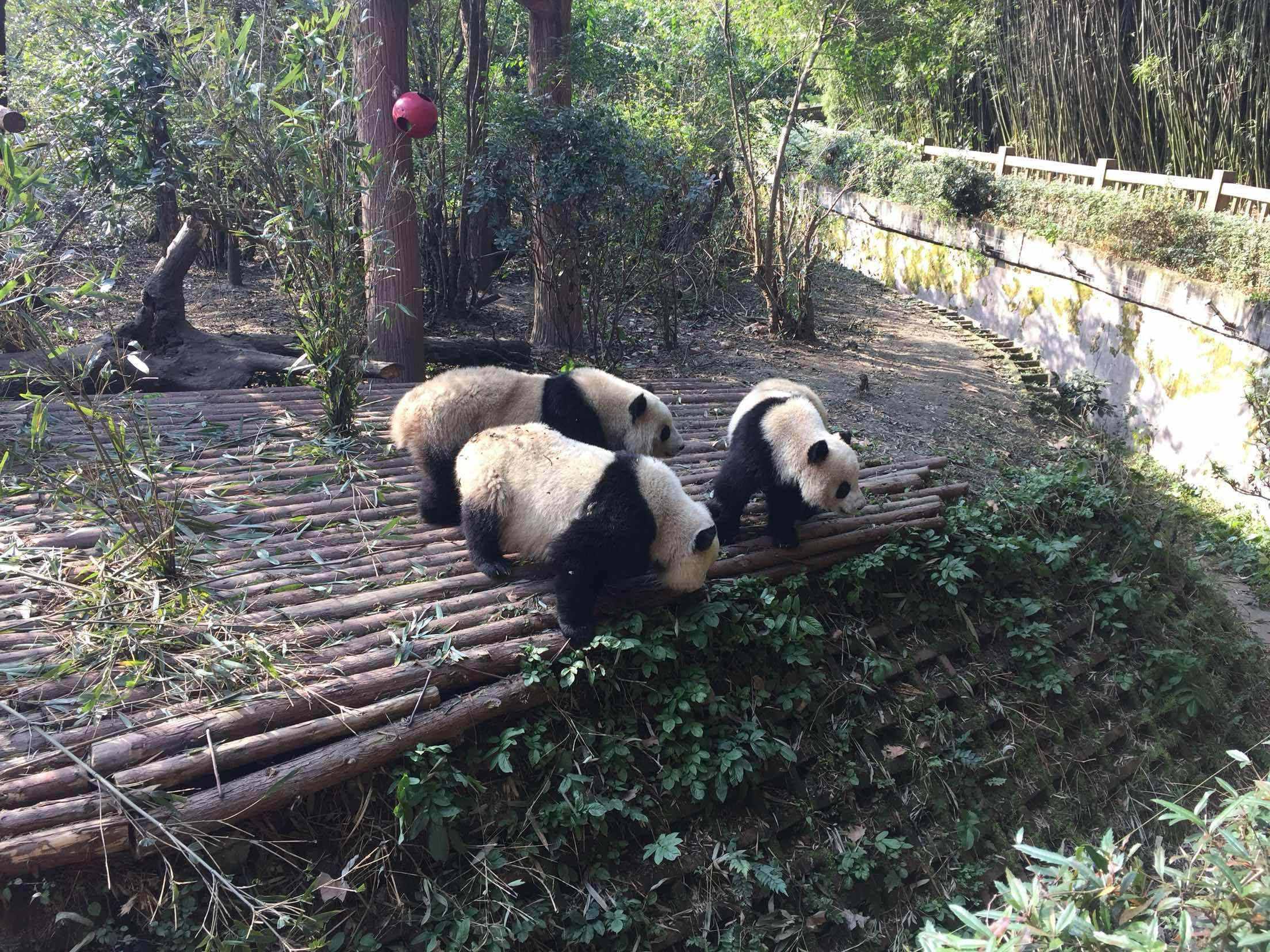 国庆旅游景点推荐成都 成都国庆旅游推荐好去处人少